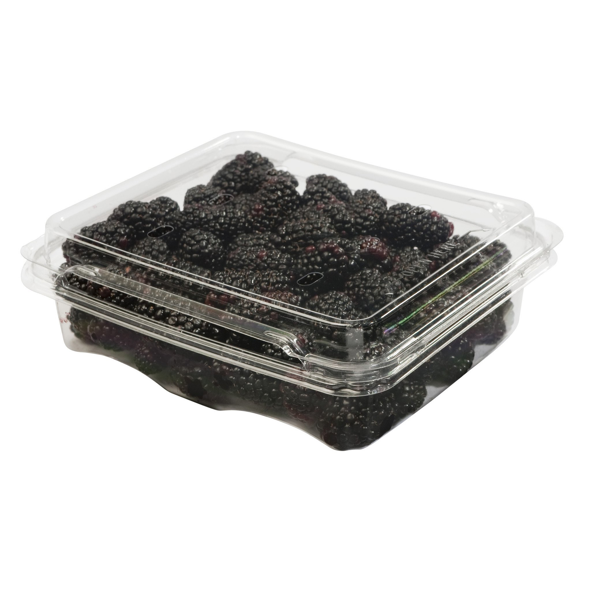 Blackberries 6 oz (170g), Case of 12