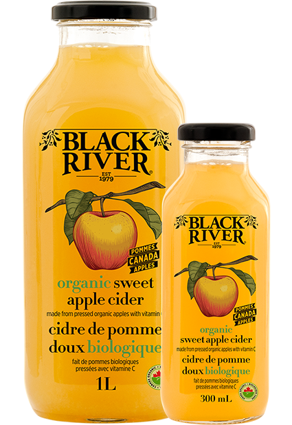 ORGANIC Sweet Apple Cider 300ml, pack of 24