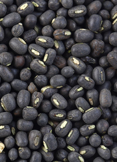 Black Beans - 25 lb