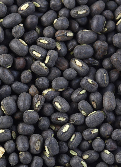 Black Beans, 25lb