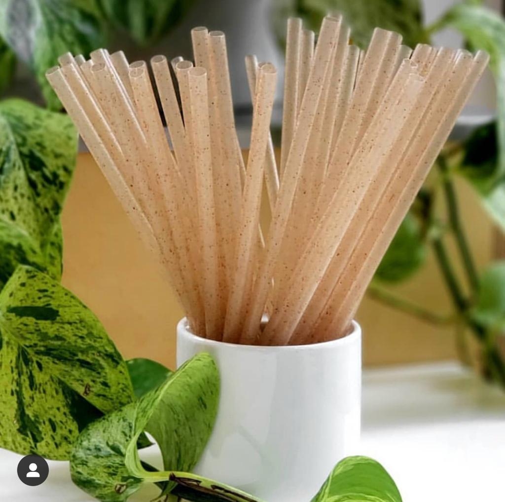 Biodegradable Agave Straws Unwrapped 8.3″/21cm, Case of 2,000 Straws