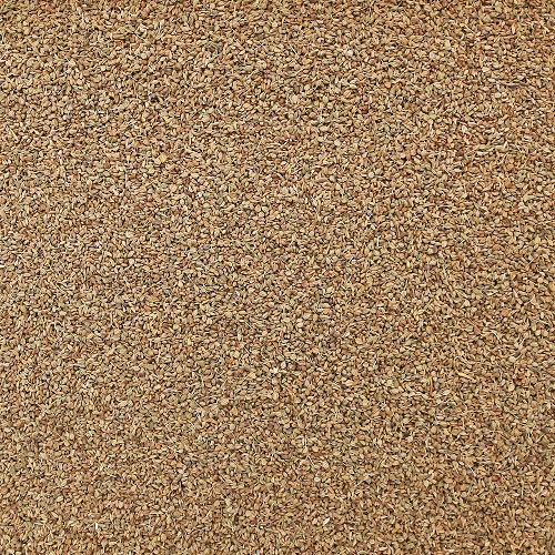 Organic Ajwain Seed, whole