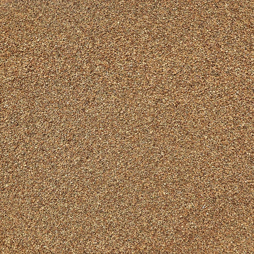 Organic Celery Seed, whole