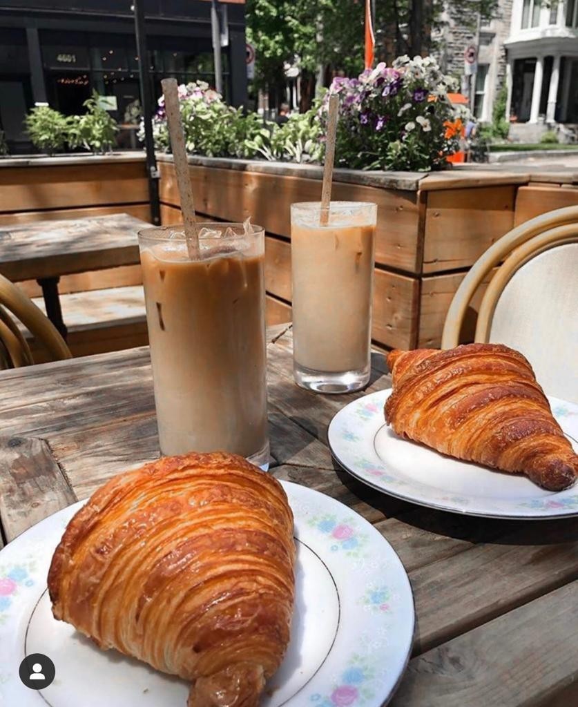 Biodegradable Agave Straws Wrapped 6″/15cm, Case of 2,000 Straws