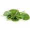 Baby Spinach (2lb Bag)