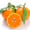 Satsuma Mandarin Oranges (LB)