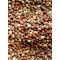 Brown Mustard Seed - 25 lb