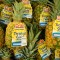 Dole Pineapples - Case of 5 or 6
