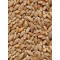 Einkorn Berries - 25 lb