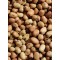 Fava Beans - 25 lb