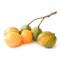 Fresh Genip (Spanish Lime), organically grown - 22 lbs/box