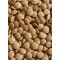 Large Green Lentils - 25 lb