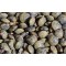 French Green Lentils - 25 lb