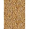 Yellow Mustard Seed - 25 lb