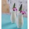 Biodegradable Agave Straws Wrapped 8.3″/21cm, Case of 2,000 Straws