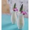 Biodegradable Agave Straws Wrapped 6″/15cm, Case of 2,000 Straws