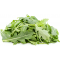 Classic Arugula - 3LB case