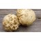 Celery Root (Each)