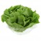 Clamshell Ontario Hydroponic Boston Lettuce - 12 pcs.