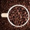 PRIVATEER (RAINFOREST ALLIANCE) - DARK ROAST 6x12oz