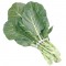 Collard Greens (Bunch)