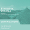 ETHIOPIA SIDAMA (FAIR TRADE, ORGANIC) - LIGHT ROAST 6x12oz