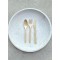 Agave Eco-friendly Cutlery Set (fork, spoon, knife + napkin), 240 kits per case