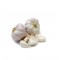 Organic Loose Garlic - 30lbs case
