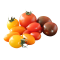 1 Pint Medley Grape Tomatoes - Case of 12