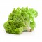 Organic Green Leaf Lettuce, 24 Count