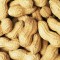 Fresh Peanuts - 22 lbs/box