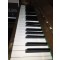 Petrof Upright Piano