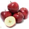 Red Del Apples 88 Count - Case of 40LB