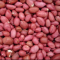 Red Peanuts, organically grown - 22 lbs/box