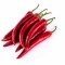 Red Hot Chili (Finger Chili), LB