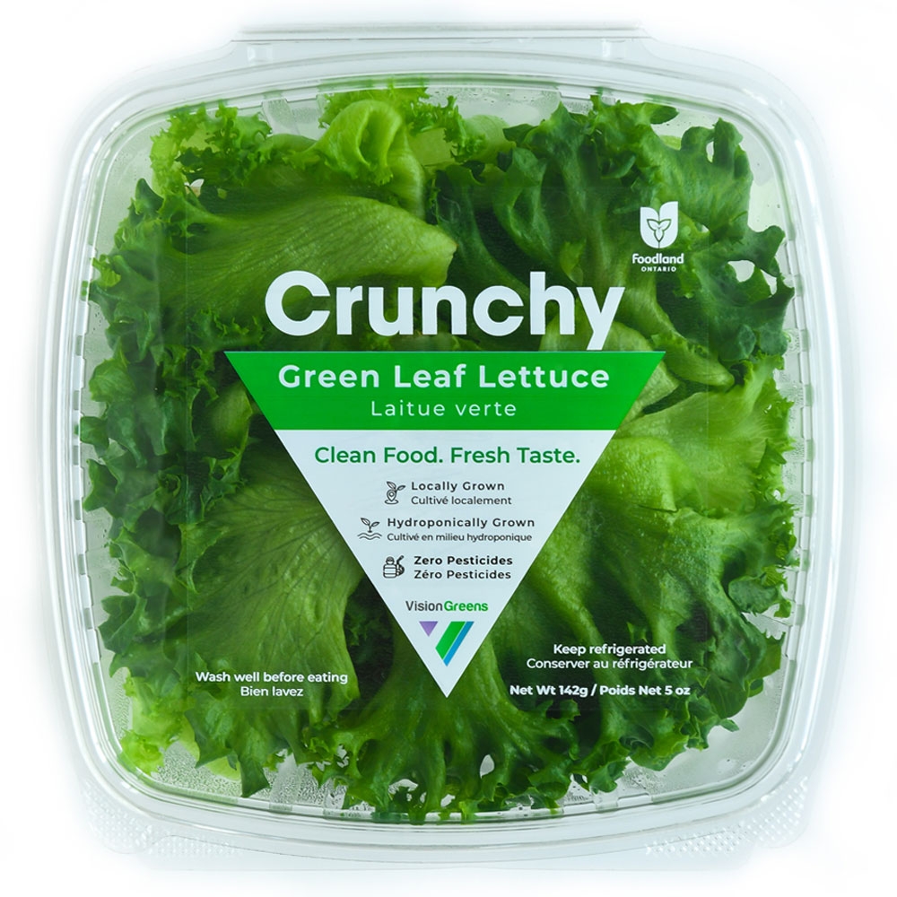 Vision Greens Crunchy Green Leaf Lettuce 1lb - case of 3