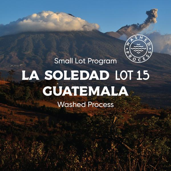 GUATEMALA LA SOLEDAD "LOT 15" (DIRECT TRADE, WASHED PROCESS) - LIGHT ROAST 6x12oz
