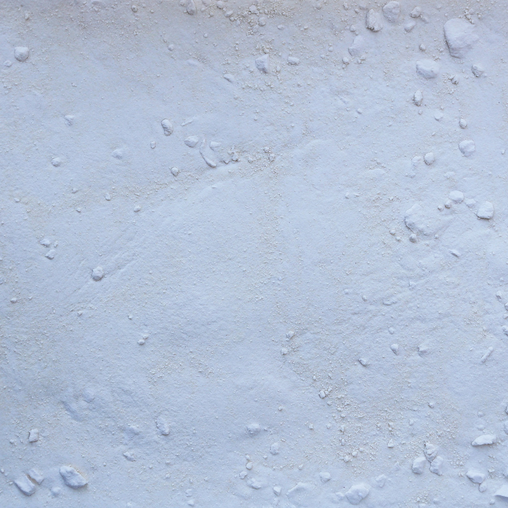 Organic Onion, white, powder