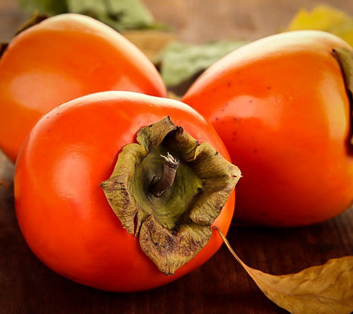 Persimmon (Hachiya)