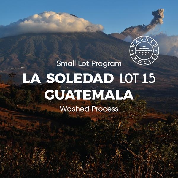 GUATEMALA LA SOLEDAD "LOT 15" (DIRECT TRADE, WASHED PROCESS) - LIGHT ROAST 2lb Bag