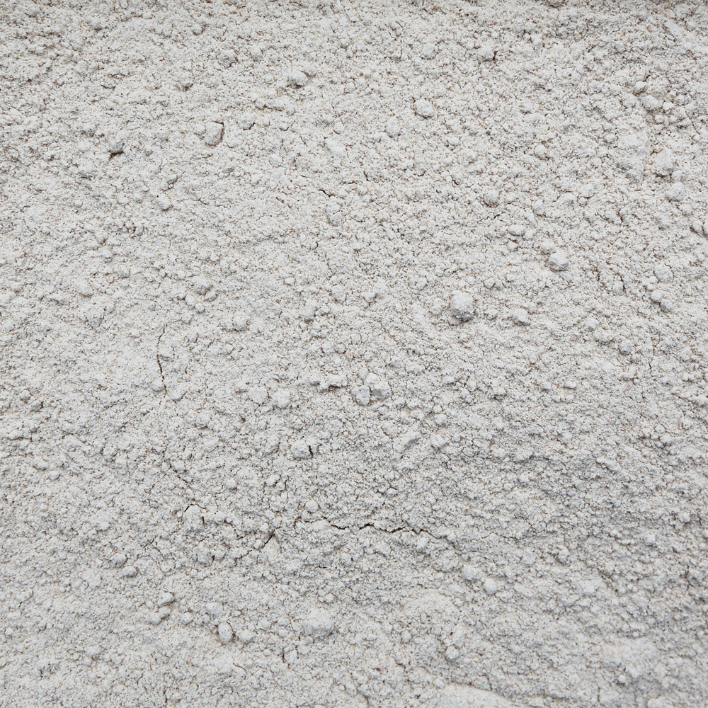 Organic Red Fife Wheat Flour